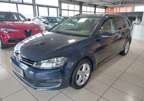 volkswagen golf Volkswagen Golf cena 39900 przebieg: 214199, rok produkcji 2014 z Suraż